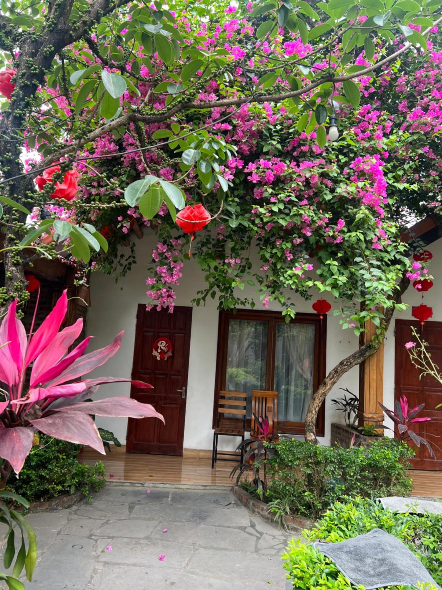Tam Coc Serene Bungalow Ninh Binh Buitenkant foto